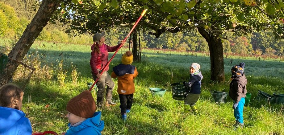 Das Foto zeigt Kinder bei der Apfelernte in Sehlem.