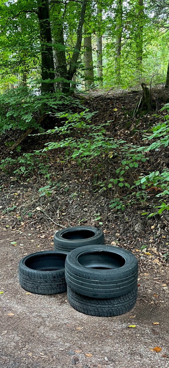 Diese Reifen wurden illegal im Grünewald entsorgt und mussten von den Mitarbeitern des Forstrevier Wittlich entsorgt werden.
