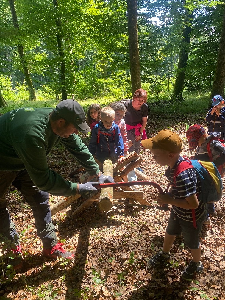 Waldtag der Kindergartenkinder 