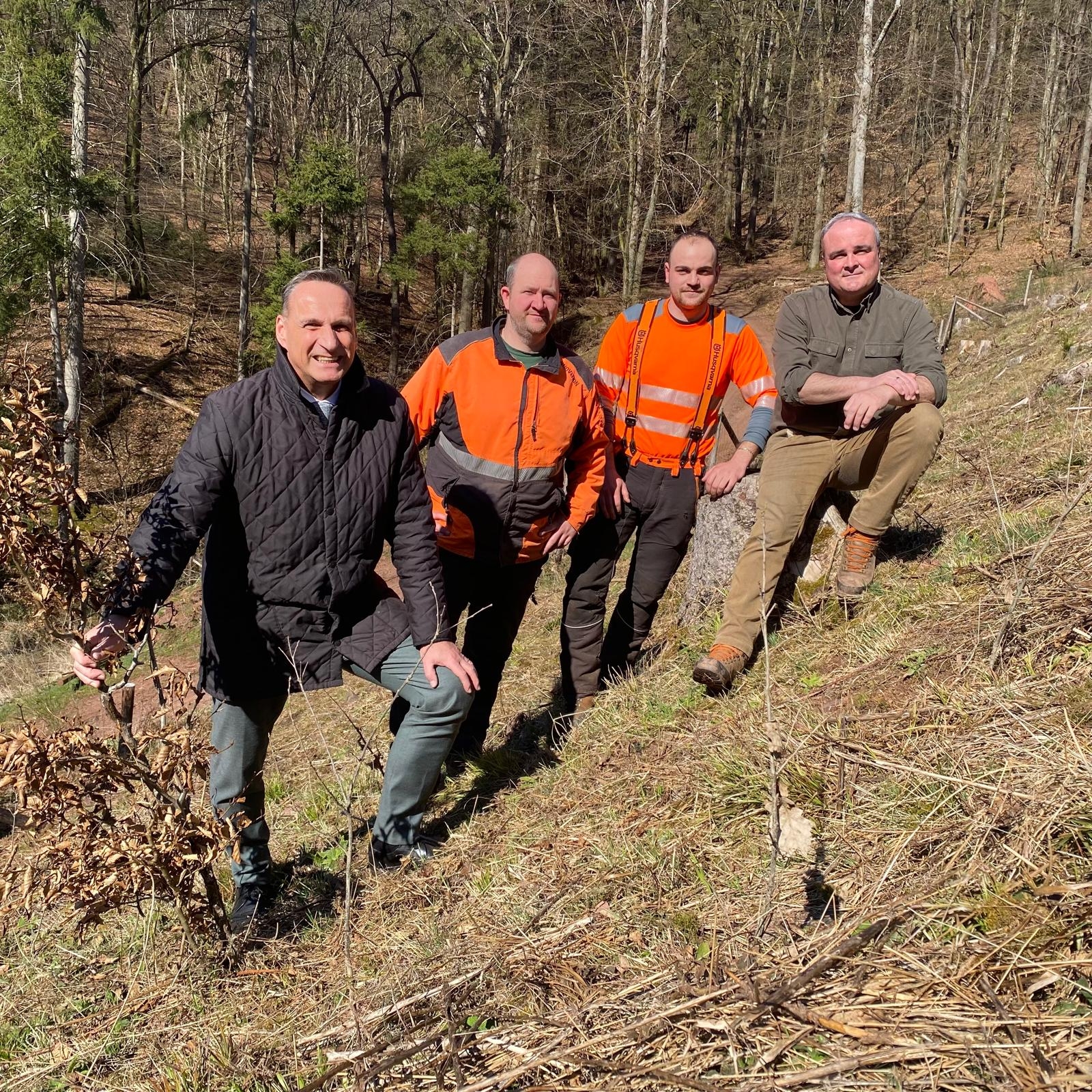 Bürgermeister Rodenkirch besuchte die Mitarbeiter des Forstbetriebs der Stadt Wittlich, um sich von der erfolgreichen Arbeit des Waldumbaus im Wittlicher Wald zu überzeugen 