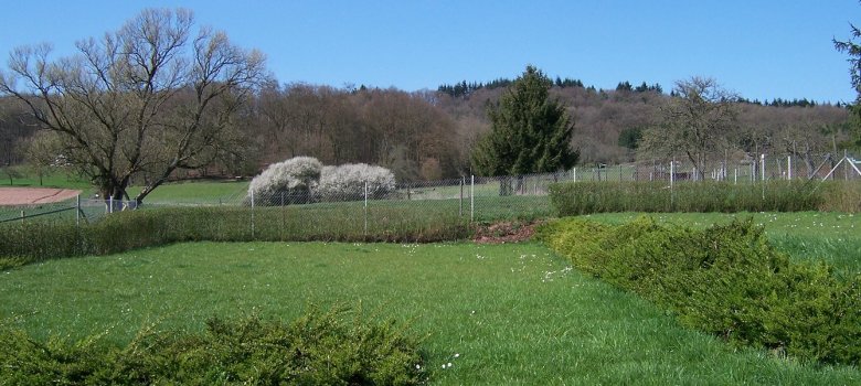 Friedhof Neuerburg