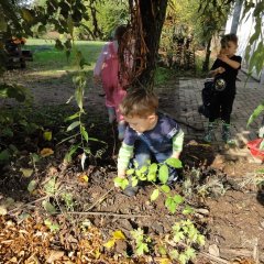 Das Bild zeigt drei Kinder mit Matschhosen draußen auf dem Außengelände. Sie laufen durch das Gestrüpp. 