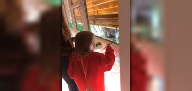 Auf dem Bild malt ein Bild das Fenster mit grüner Farbe und einem Pinsel an