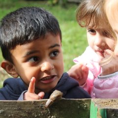 Auf dem Bild sieht man einen kleinen Jungen vor einem Zaun. Neben ihm stehen drei Mädchen und schauen auf eine schwarz gelbe Schnecke auf dem Zaun. Der Junge hat den rechten Zeigefinger erhoben, er schaut und spricht ernst zu den Mädchen.