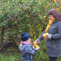 Auf dem Bild sieht man wie eine Erzieherin einem Kind einen Apfel in die Hand legt. Einen Apfel hält das Kind schon in beiden Händen. Die Erzieherin hat ebenfalls noch zwei Äpfel in der anderen Hand. Im Hintergrund steht ein großer Baum mit vielen Äpfeln daran.