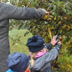 Auf dem Bild sieht man zwei Kinder und eine Erzieherin. Die Erzieherin und ein Kind pflücken Äpfel von einem großen Apfelbaum. Das zweite Kind steht dahinter und schaut ihnen zu.