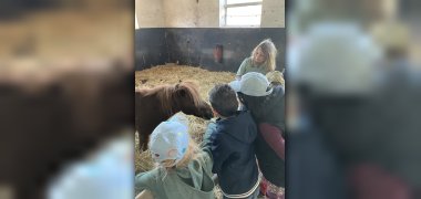 Auf dem Bild sind Kinder auf dem Bauernhof und streicheln ein Pony.