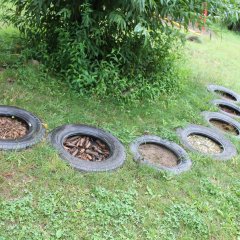 Auf dem Bild sind sieben Autoreifen im Boden zu sehen. In den Reifen befinden sich unterschiedliche Materialien. Im Hintergrund steht ein grüner Busch und eine Holzbank.