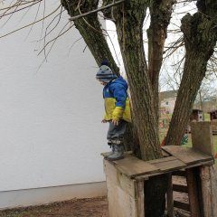 Auf dem Bild ist ein Junge mit Matschkleidung zu sehen, der auf einem Baum mit Podest steht und nach unten schaut.