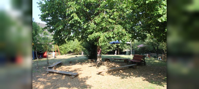 Sitzkreis Garten Auf dem Bild sind Bänke in einen Kreis gestellt, um einen großen Baum rum.