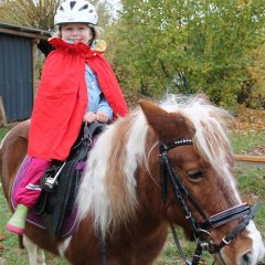 Das Bild zeigt ein Mädchen auf einem braunen Pony, das Pony trägt ein schwarzes Halfter mit rosa Steinchen. Das Mädchen auf dem Pony trägt einen weißen Reithelm und einen roten Umhang. Es hält sich mit beiden Händen an dem Sattel fest auf dem es sitzt und lächelt in die Kamera. 