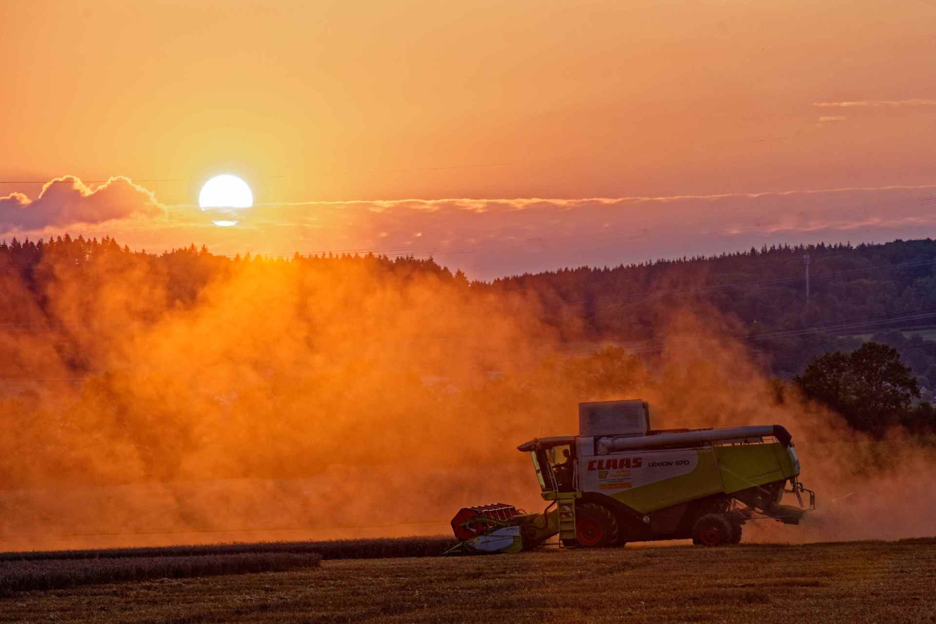 Mähdrescher Bombogener Flur _ Bild Klaus Geiter