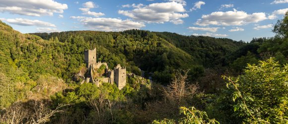 Blick auf die Manderscheider Burgen