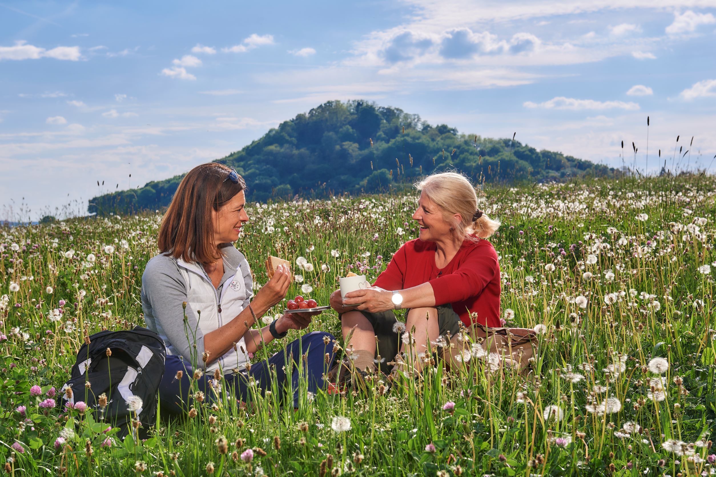 Picknick im Grünen im Ferienland Wittlich Stadt und Land