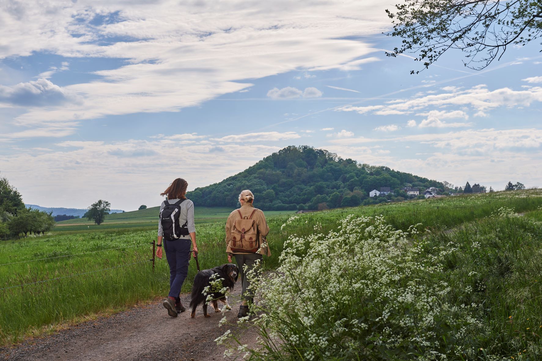 Wanderung mit Hund im Ferienland Wittlich Stadt & Land