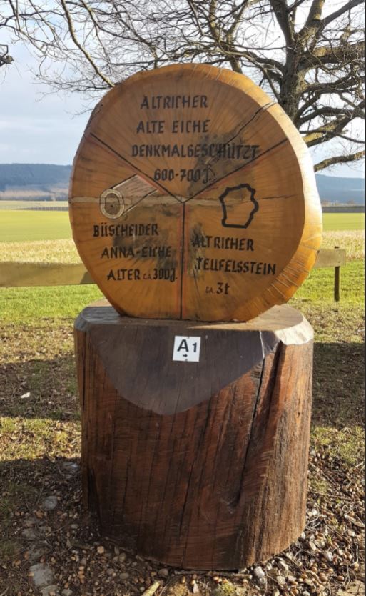 Naturdenkmal Alte Eiche in Altrich Naturdenkmal Alte Eiche in Altrich