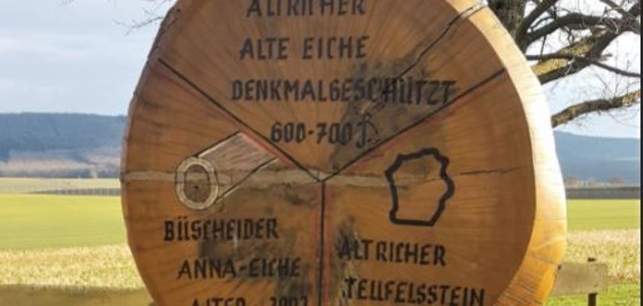 Naturdenkmal Alte Eiche in Altrich