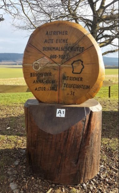 Naturdenkmal Alte Eiche in Altrich