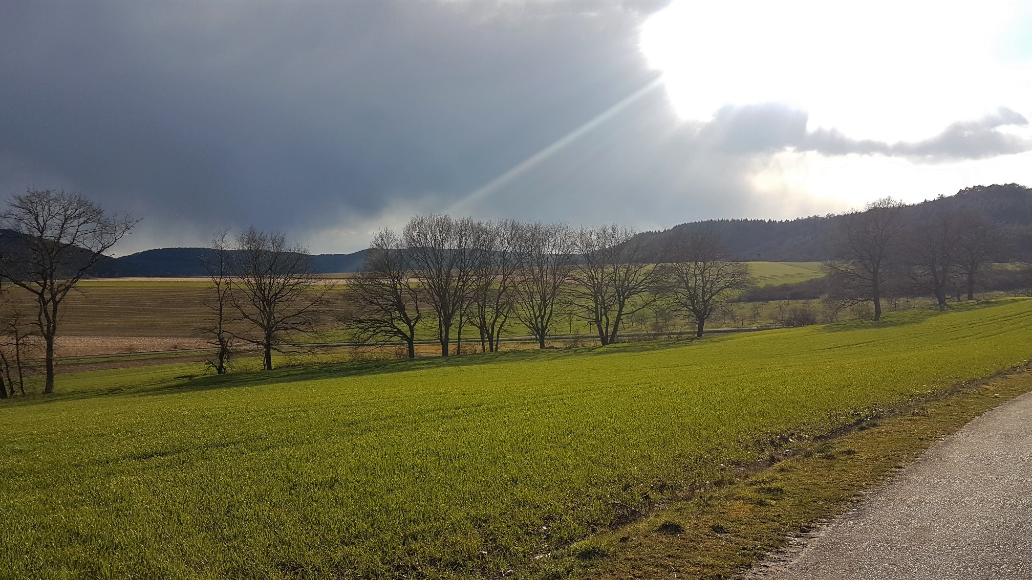 Impressionen Bergweiler