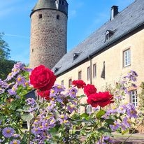 Burg Bruch im Frühling