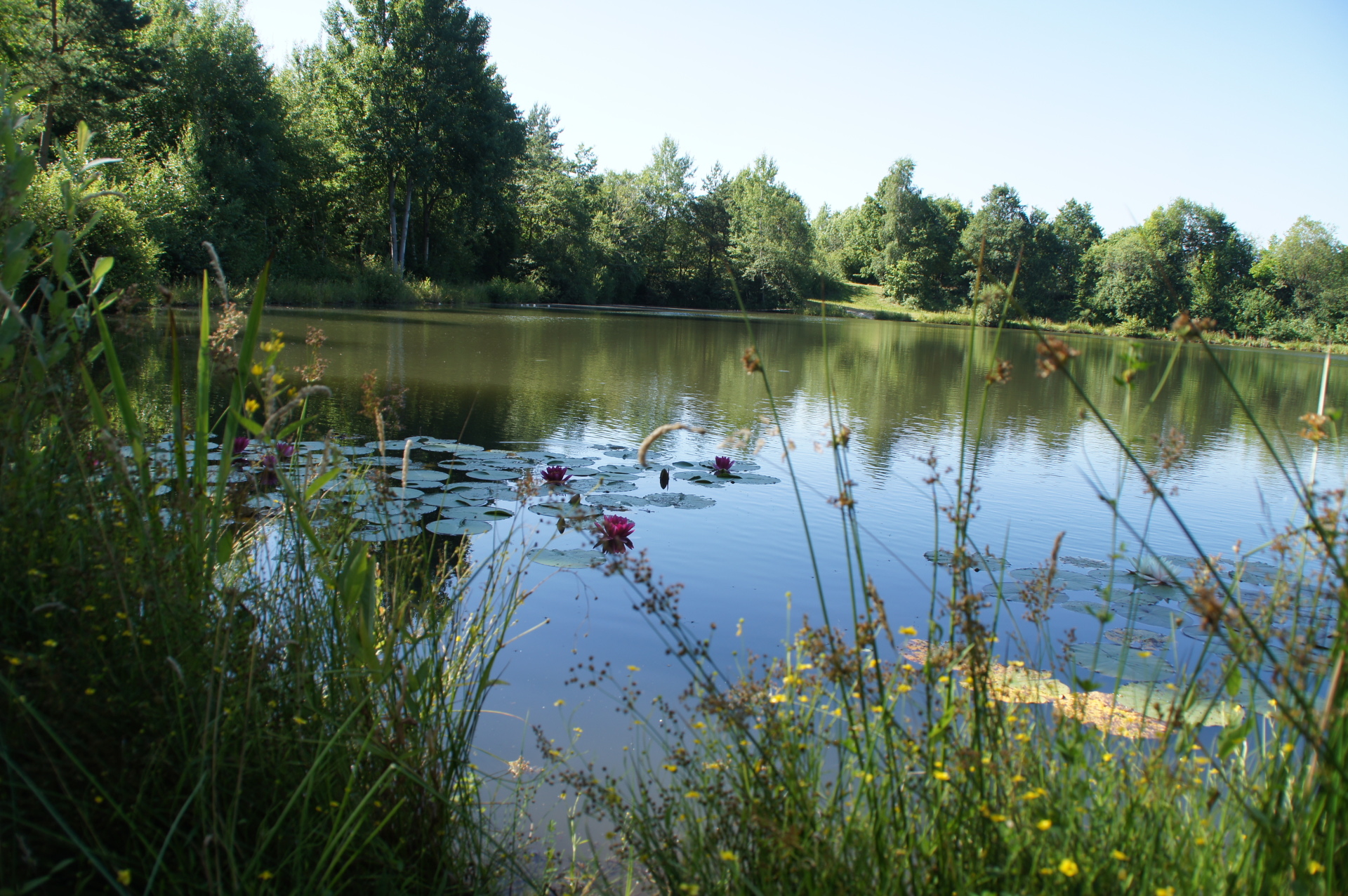 Weiher Zur Heeg Weiher Zur Heeg