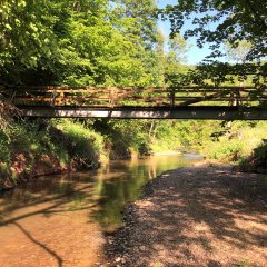 Brücke auf dem Sauscheid-Wanderweg