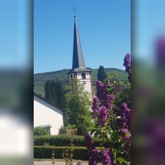 St. Martin Kirche Dreis