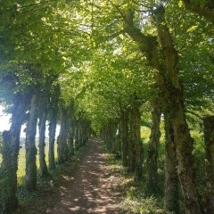 Wanderweg hinter Schloss Dreis