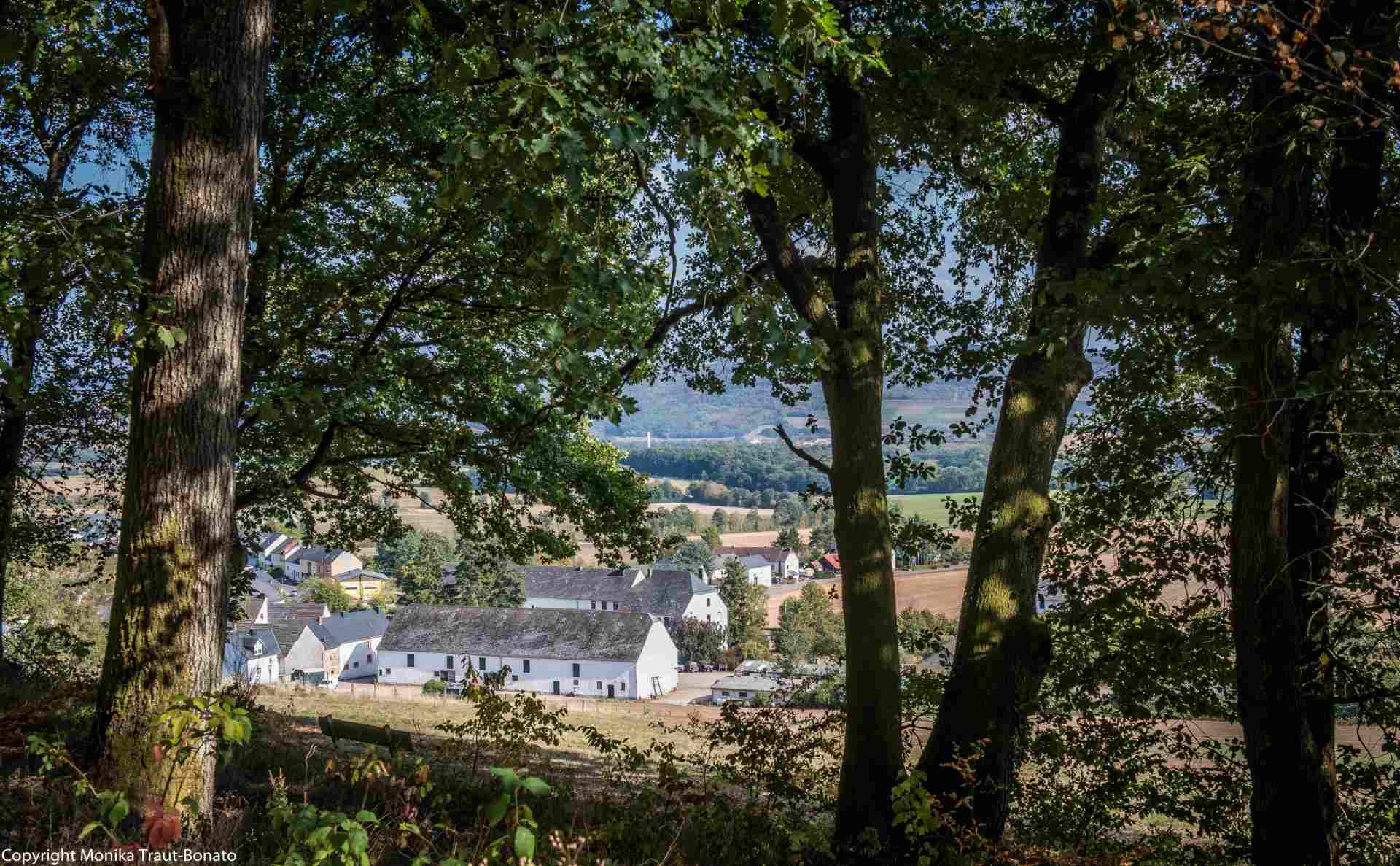 Schöne Aussichten bei Erlenbach Schöne Aussichten bei Erlenbach