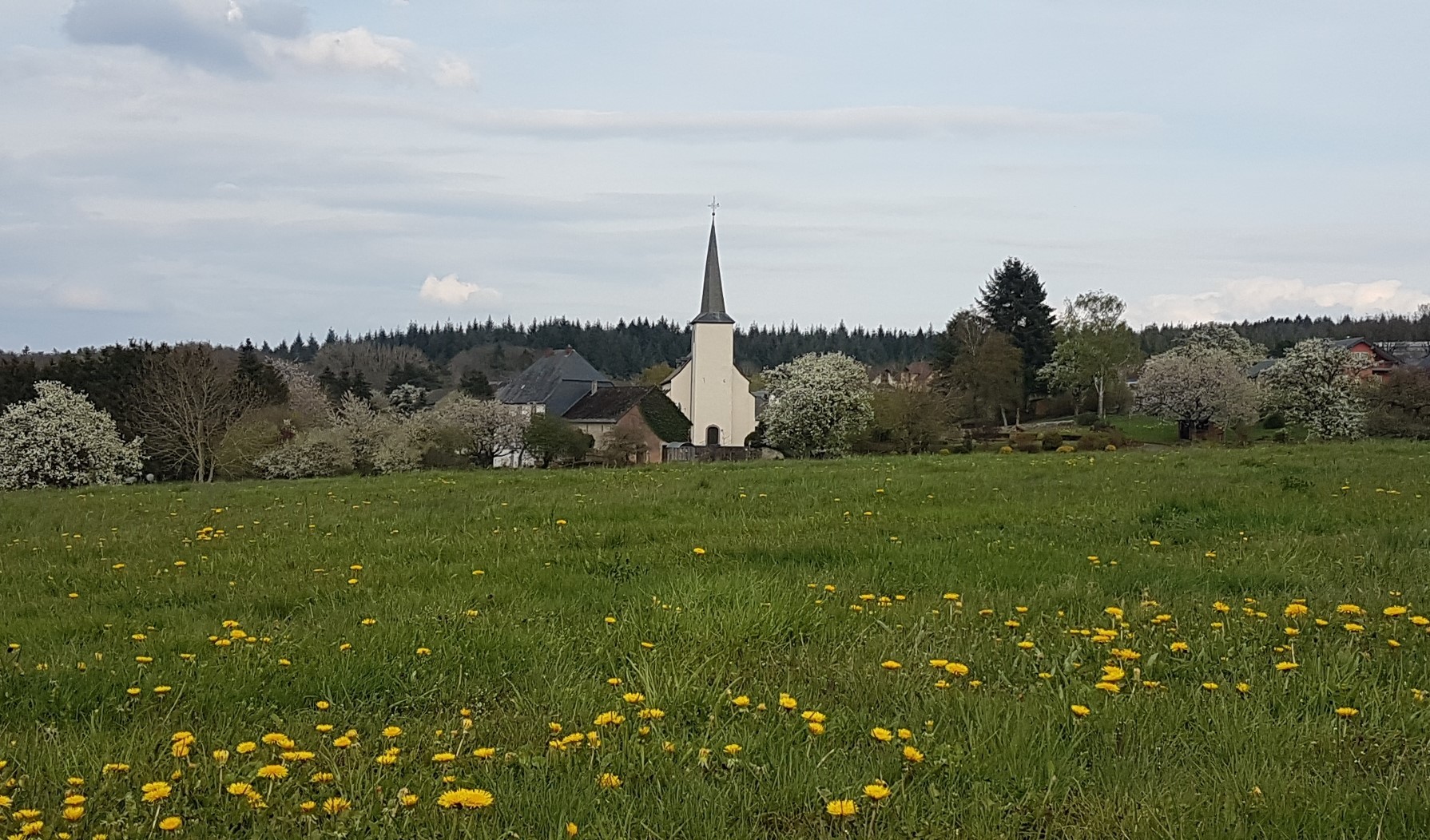 Blick vom Pfarrsteig auf Kirche Greimerath