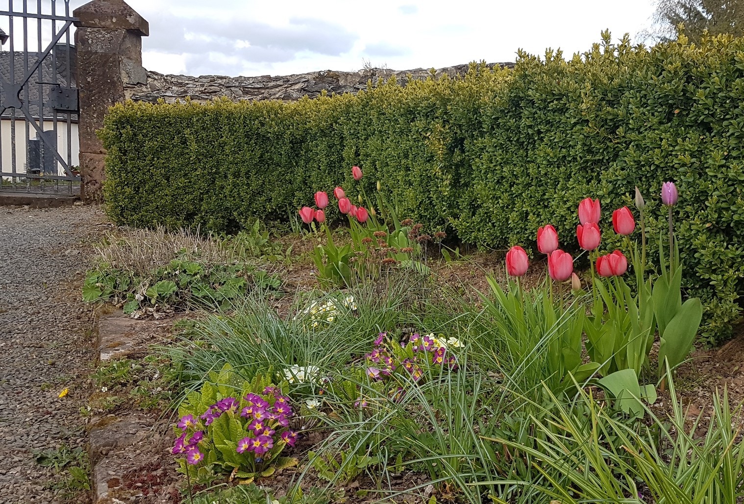 Pfarrgarten Greimerath