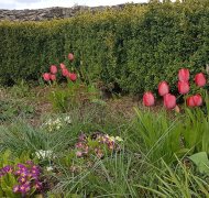 Pfarrgarten Greimerath