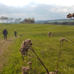 Wanderweg Greimerath