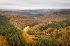 Blick vom Burgberg bei Karl