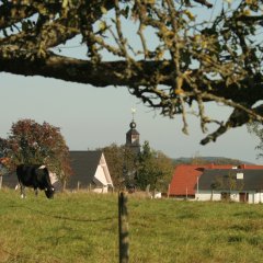 Blick auf Niederöfflingen