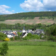 Blick auf Rivenich