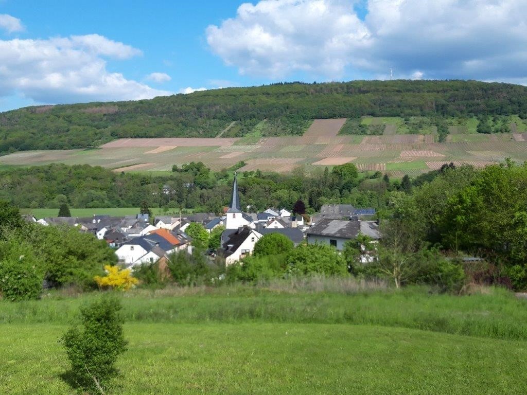 Blick auf Rivenich Blick auf Rivenich