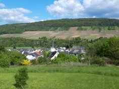 Blick auf Rivenich