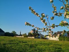 Frühling in Schwarzenborn