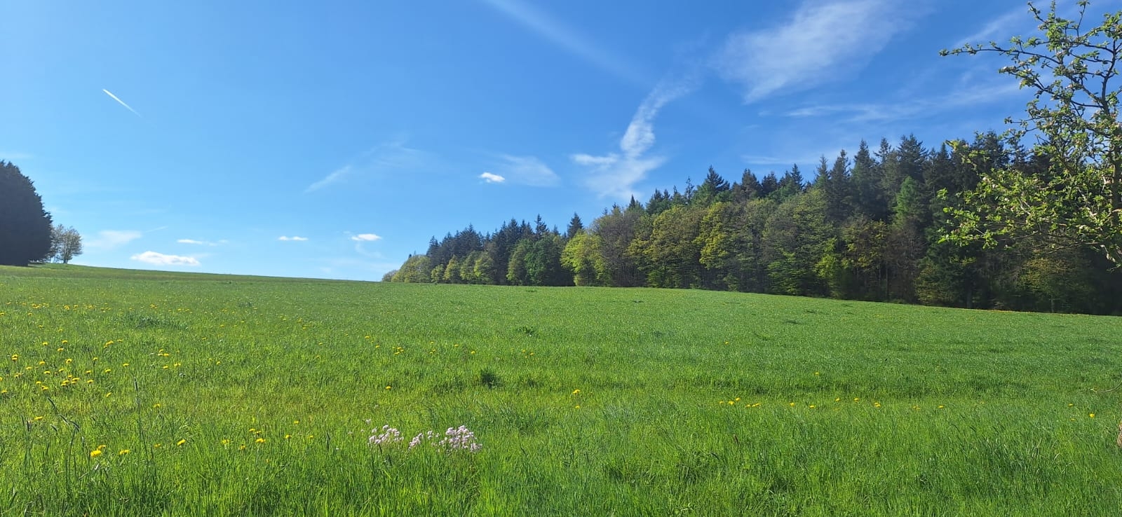 Weite Natur bei Schwarzenborn Weite Natur bei Schwarzenborn