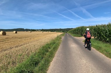 Maisfeld mit Radfahrer Eifel-Pilger-Radweg Maisfeld mit Radfahrer Eifel-Pilger-Radweg
