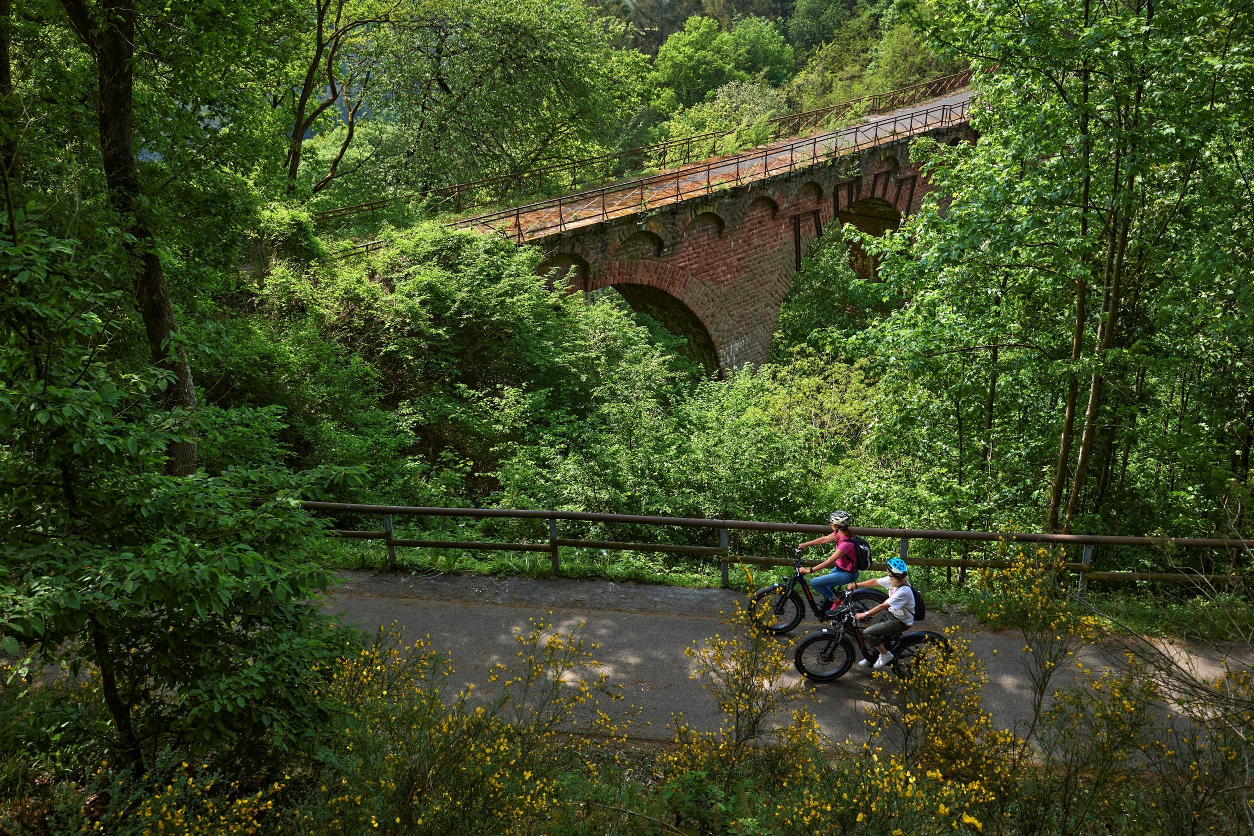 Radfahrer auf dem Maare-Mosel-Radweg beim Wittlicher Viadukt