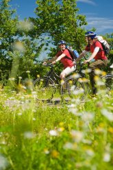 Blick auf die Wittlicher Senke