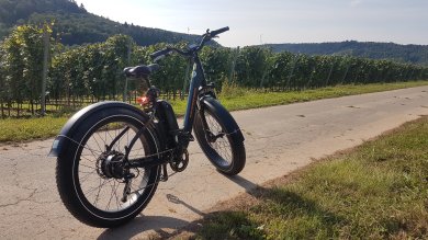 Fat-E-Bike