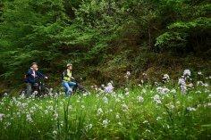 Zwei Radfahrer auf dem Maare-Mosel-Radweg