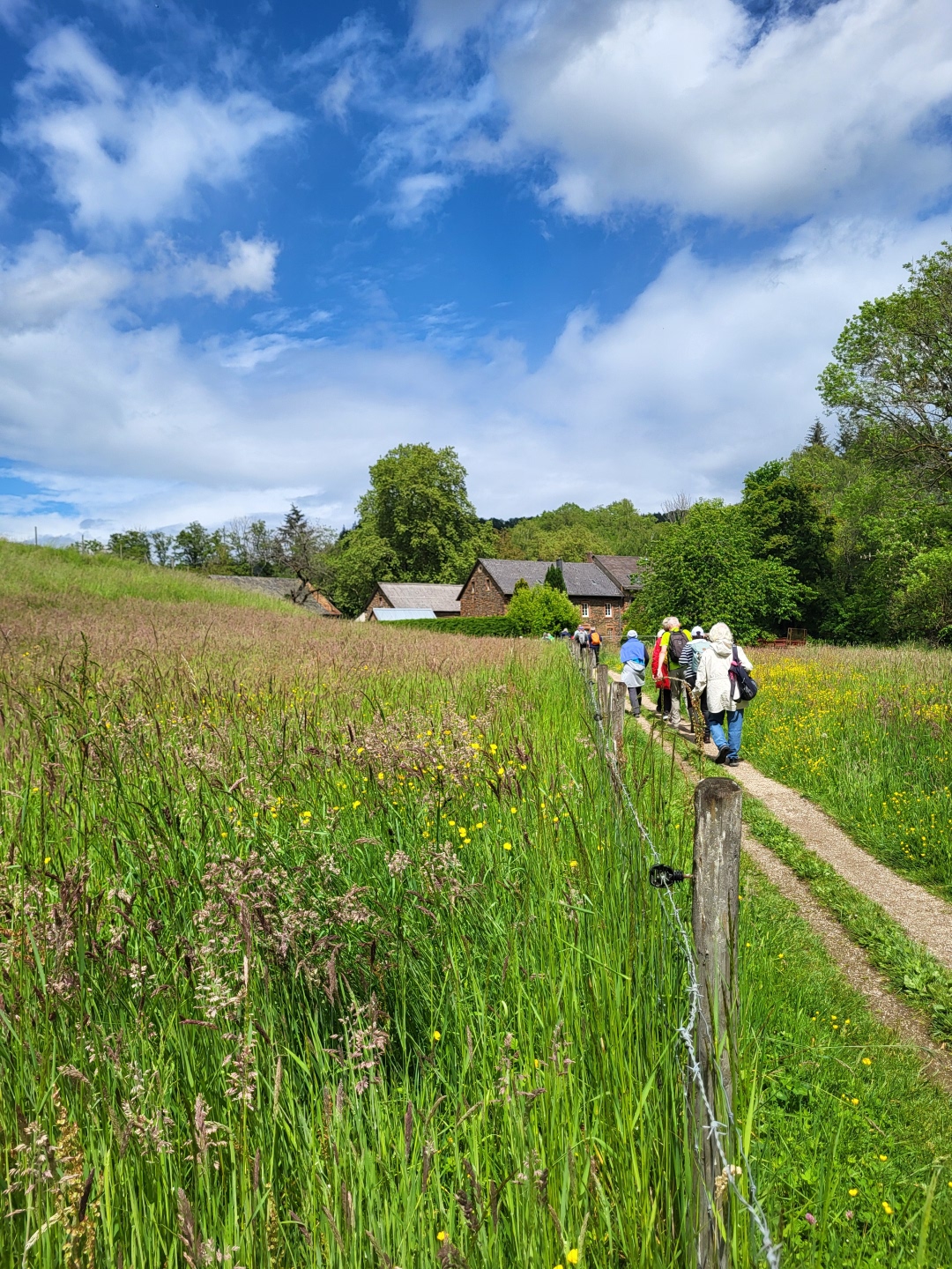 Lieserpfad zur Viezmühle