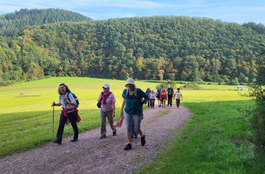 Anstieg über den Eifelsteig Anstieg über den Eifelsteig