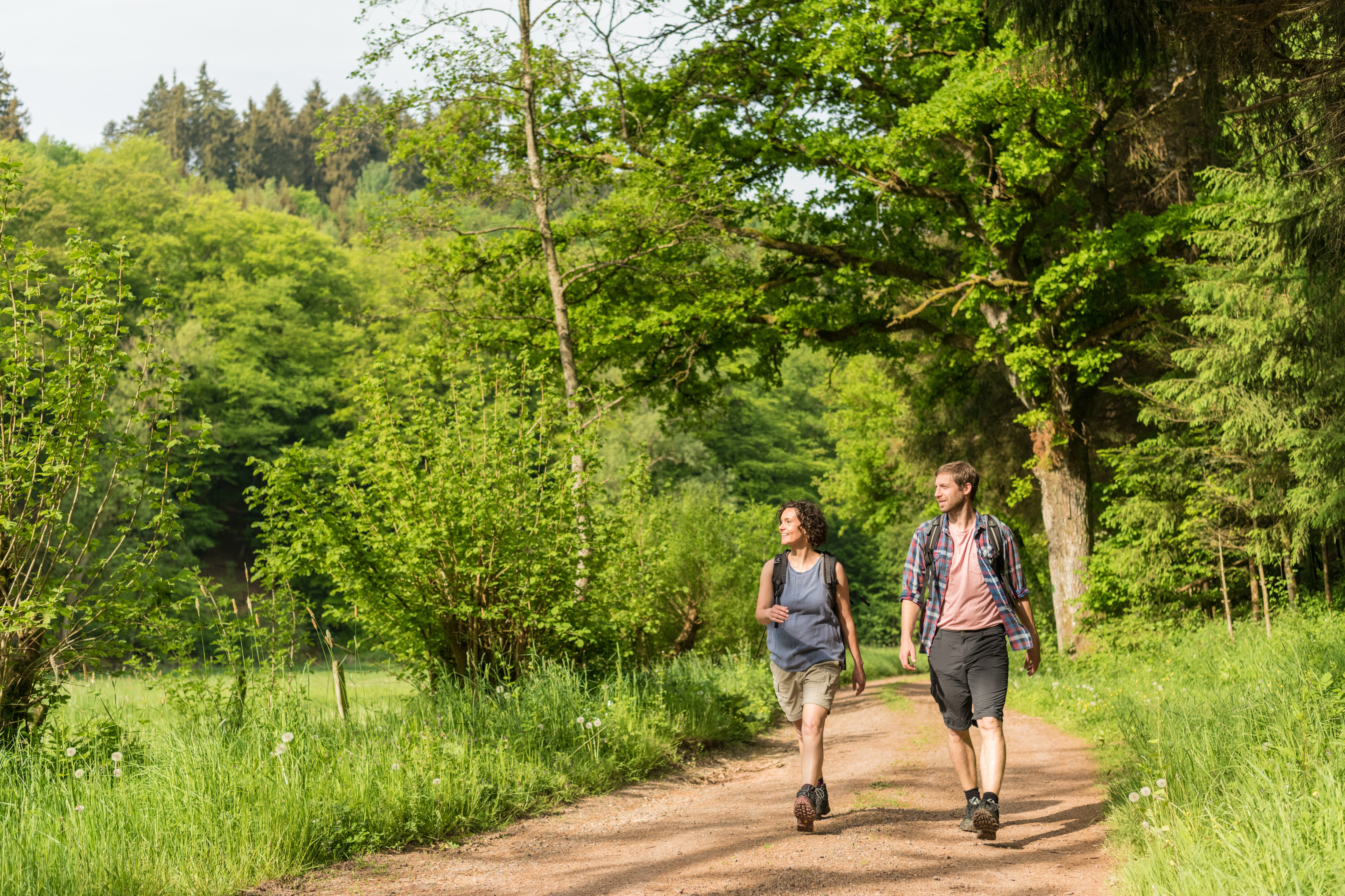 Wanderer auf dem Eifelsteig Wanderer auf dem Eifelsteig