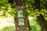 Wegschild Eifelsteig