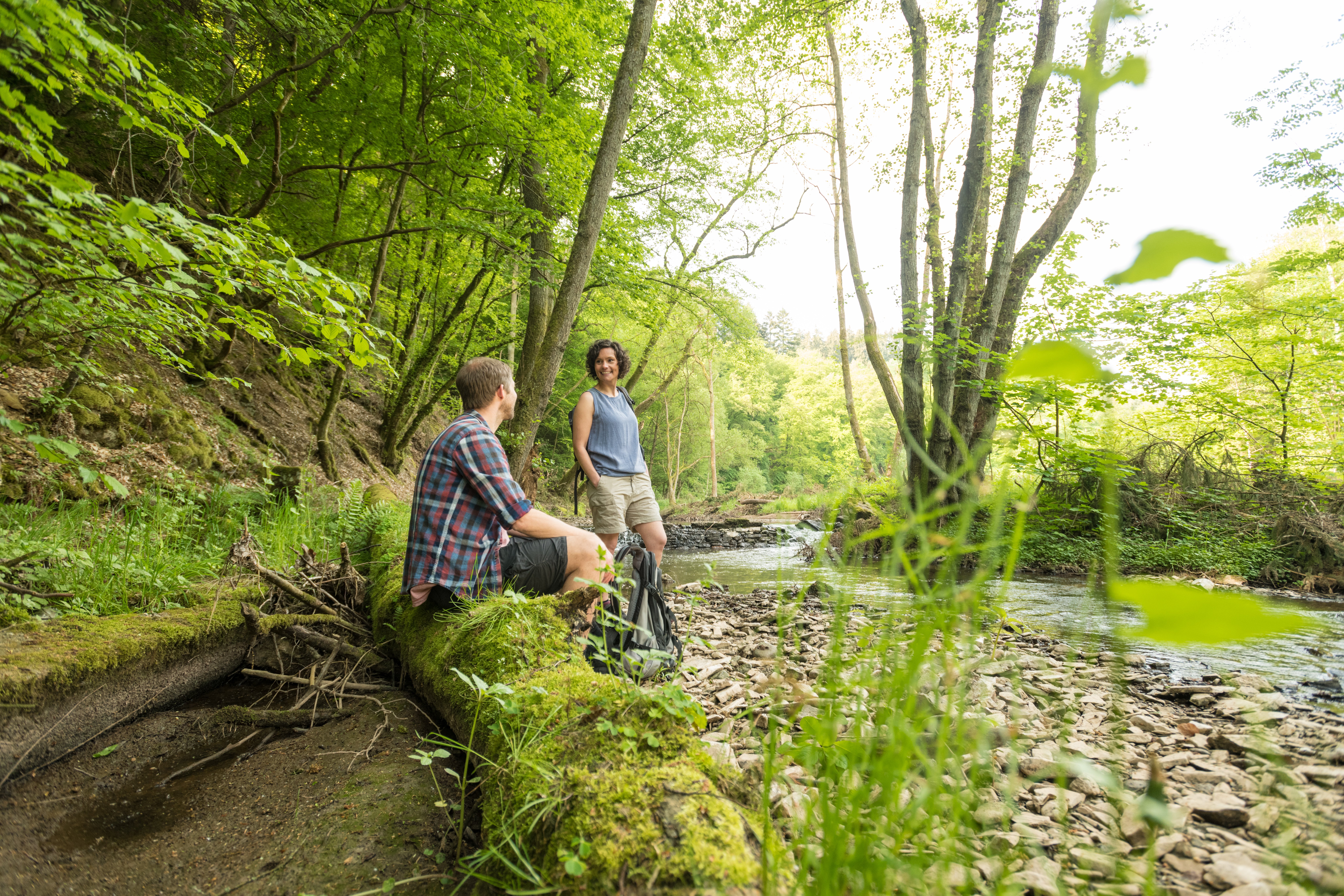 Wanderer rasten im Meulenwald 